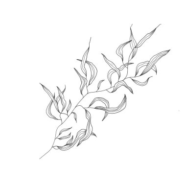 Yapraklı bir dalın dijital çizimi. özet