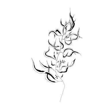 Yapraklı bir dalın dijital çizimi. özet