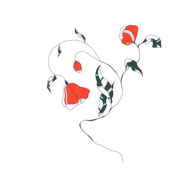 Bir demet kırmızı çiçek - yapraklı haşhaş