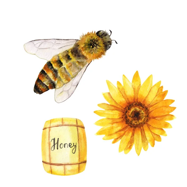 양봉원 (apiary) - 유기 꿀. 손으로 그린 벌 — 스톡 사진
