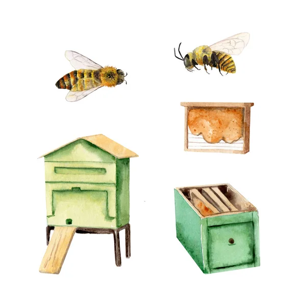 Akvarell készlet méhészet - szerves méz. kézzel festett méhészeti eszközök. méhkaptárak — Stock Fotó