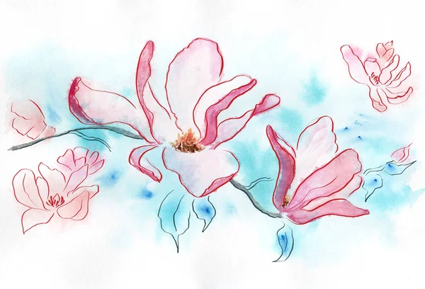 Elvont akvarell virágos háttér magnólia vonalak — Stock Fotó