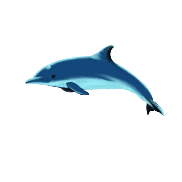 Dibujo digital de un animal marino - delfín saltarín — Foto de Stock
