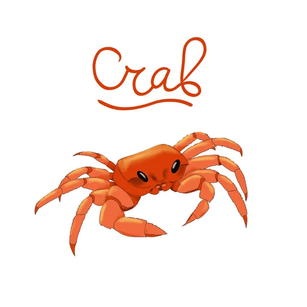Digital drawing of a sea animal - crab crawling — Stock Photo, Image