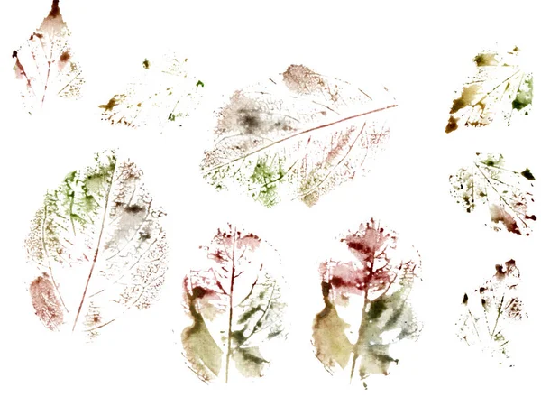 Ökoprint aus Herbstblättern. Set mit Stempelblättern. — Stockfoto