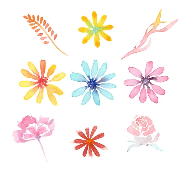 Seperangkat bunga udara cat air. dicat di atas kertas dengan cat air — Stok Foto