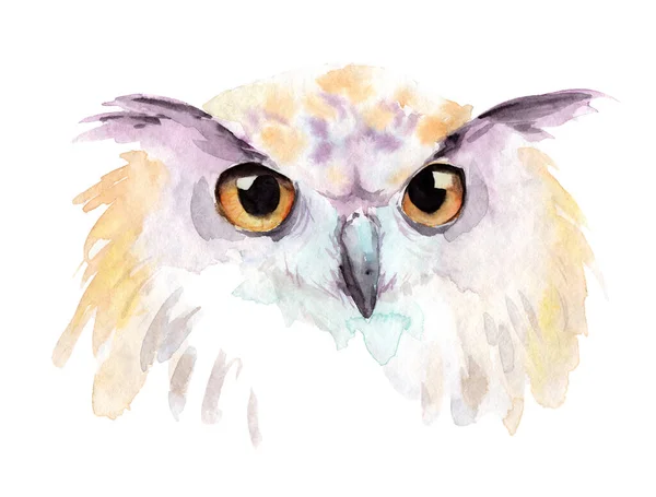 Dessin aquarelle d'un oiseau de nuit - tête d'un hibou — Photo