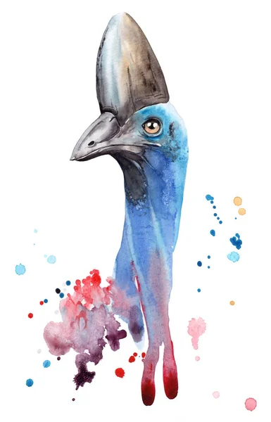 Watercolor drawing of a night bird - head of a cassowary — Stock Photo, Image