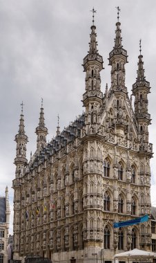 Leuven Belediye Binası, Belçika