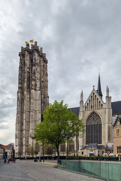 St.-Romboutskathedraal, Mechelen (België) — Stockfoto