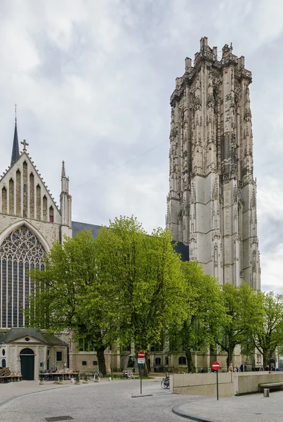 Catedral de St. Rumbold, Malinas, Bélgica — Foto de Stock