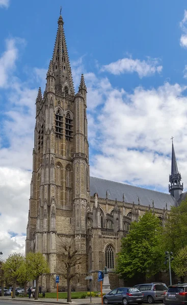 St Martin's Katedrali, Ypres, Belçika