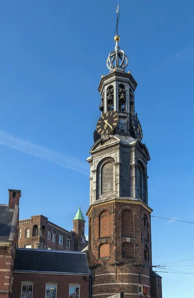 Munttoren (Tour de la Monnaie), Avsterdam — Photo