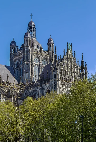 St. Johns Kathedrale, s-hertogenbosch, Niederlande — Stockfoto