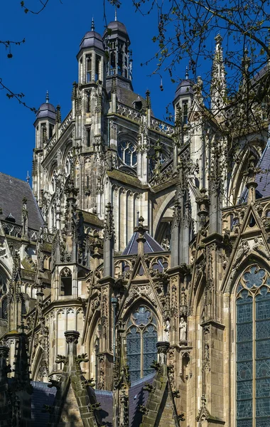 圣约翰大教堂，s-海尔托亨博斯荷兰 — 图库照片