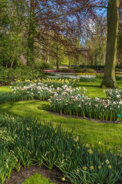 flowerbed keukenhof içinde