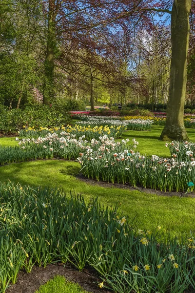 V keukenhof záhonu — Stock fotografie