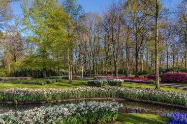 flowerbed keukenhof içinde