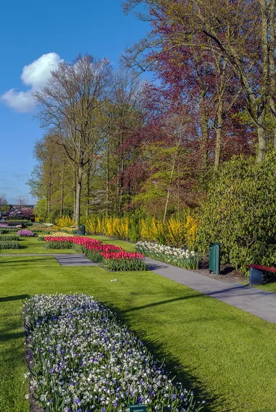 V keukenhof záhonu — Stock fotografie