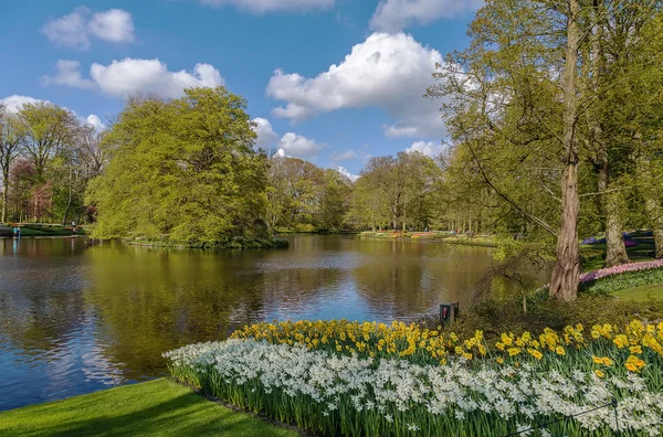 Pond in Keukenhof garden — Stock Photo, Image