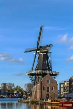 Yel değirmeni De Adriaan, Haarlem, Hollanda