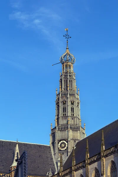 Grote Kerk, Haarlem, Hollanda — Stok fotoğraf