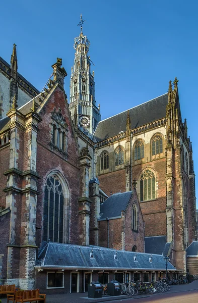 Grote Kerk, Haarlem, Nizozemsko — Stock fotografie