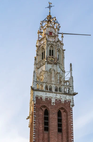 Bakenesserkerk, Haarlem, Nederländerna — Stockfoto