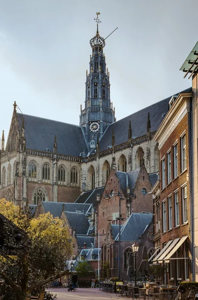 Grote Kerk, Haarlem, Nizozemsko — Stock fotografie