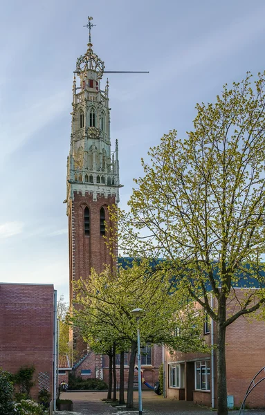 Bakenesserkerk, Haarlem, Nizozemsko — Stock fotografie