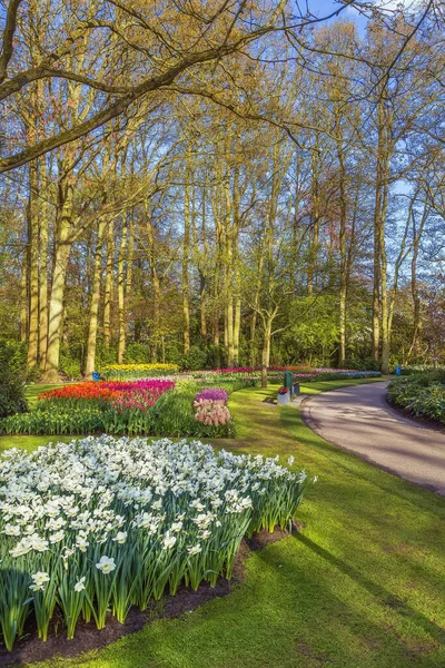 Vista Del Parterre Jardín Keukenhof Holanda — Foto de Stock