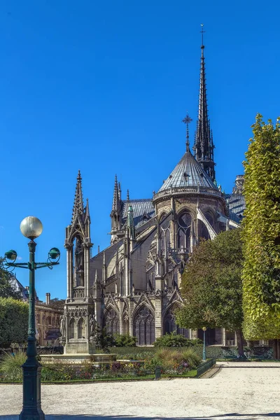 Notre Dame Paris Una Catedral Católica Medieval París Francia Vista —  Fotos de Stock