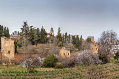 Alhambra manzarası, Genelkurmay bahçelerinden, Granada, İspanya