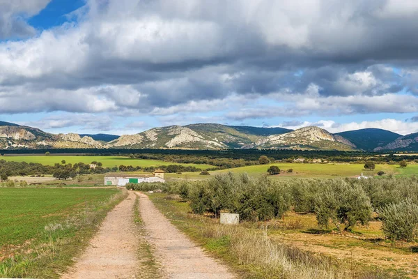 Spanya Nın Albacete Ilindeki Tarlalar Dağlarla Çevrili Manzara — Stok fotoğraf