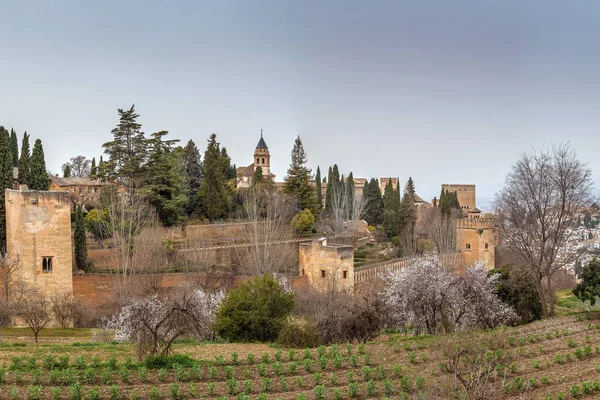 Widok Alhambra Ogrodów Generalife Granada Hiszpania — Zdjęcie stockowe