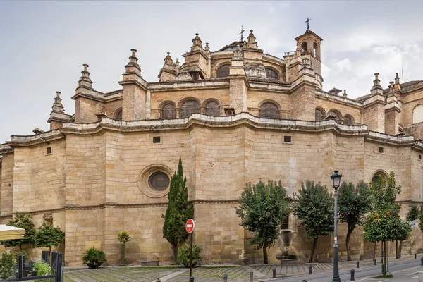 Granada Katedrális Egy Római Katolikus Templom Város Granada Spanyolország — Stock Fotó