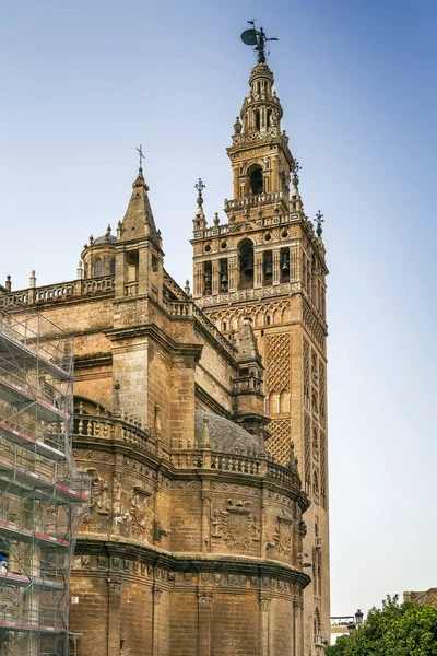 Kathedraal Van Sevilla Een Kathedraal Sevilla Andalusië Kloktoren — Stockfoto
