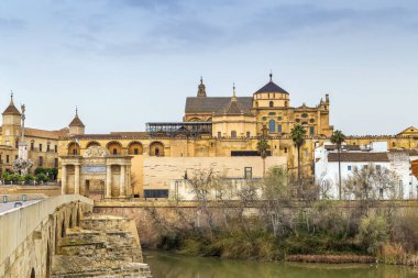 İspanya 'daki Roma Köprüsü' nden Cordoba Camii Katedrali manzarası