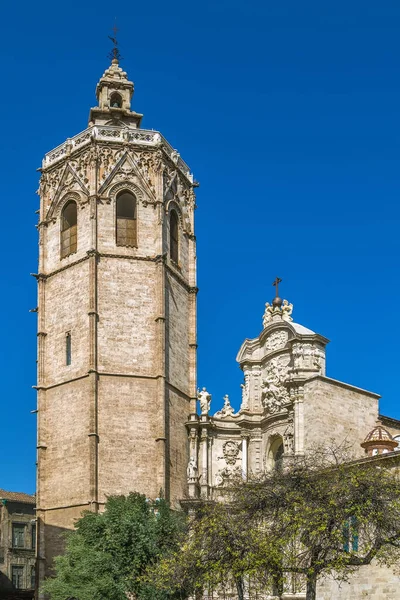 Uitzicht Kathedraal Van Valencia Basiliek Van Hemelvaart Van Onze Lieve — Stockfoto