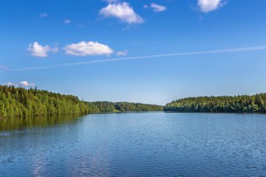 Vyg Nehri üzerindeki manzara (Beyaz Deniz-Baltık Kanalı 'nın bir kısmı), Rusya