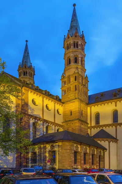 Cattedrale Wurzburg Una Cattedrale Cattolica Wurzburg Baviera Germania Dedicata San — Foto Stock