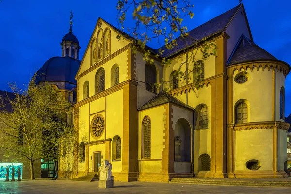 Neumunster Kyrkan Byggdes Talet Som Romansk Basilika Wurzburg Tyskland Kvällen — Stockfoto