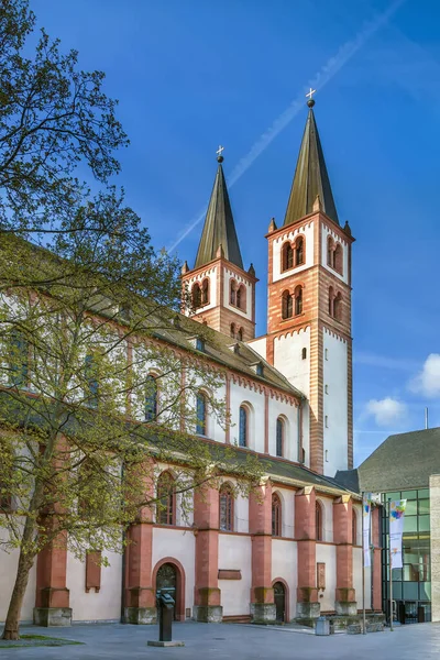 Wurzburgs Katedral Romersk Katolsk Katedral Wurzburg Bayern Tyskland — Stockfoto