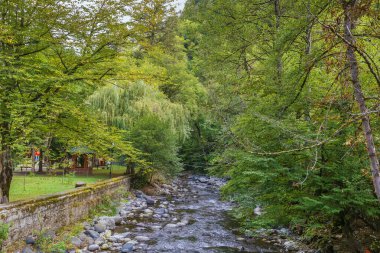 Borjomula Nehri Borjomi Central park, Gürcistan