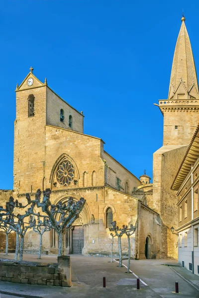 San Pedro Románský Gotický Styl Římskokatolický Kostel Olite Oblast Navarra — Stock fotografie