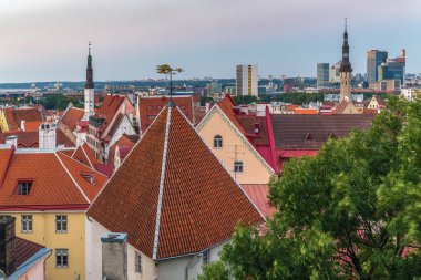 Toompea Hill, Estonya 'dan Tallinn' in panoramik manzarası. Akşamları