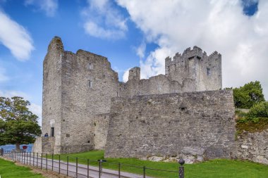 Ross Castle, İrlanda 'nın Kerry şehrinde 15. yüzyıldan kalma bir kule.