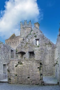 Ross Errilly Friary, İrlanda'nın Galway İlçesi, Headford'un yaklaşık 1,6 km kuzeybatısında yer alan bir ortaçağ Fransisken friary'sidir.