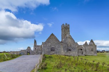 Ross Errilly Friary, İrlanda'nın Galway İlçesi, Headford'un yaklaşık 1,6 km kuzeybatısında yer alan bir ortaçağ Fransisken friary'sidir.