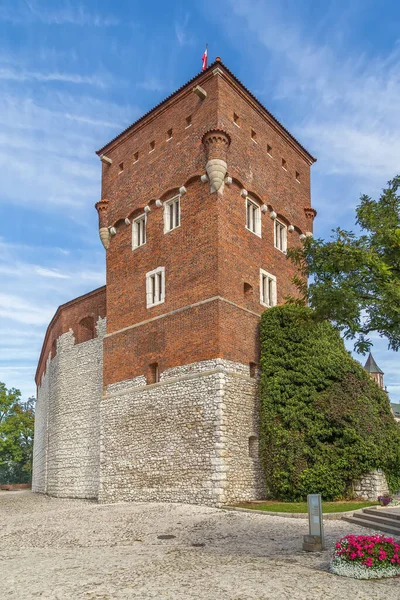 Zlodějská Věž Byla Postavena Století Hradě Wawel Krakov Polsko — Stock fotografie